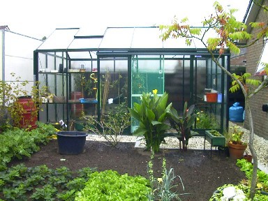 moestuinieren in een serre