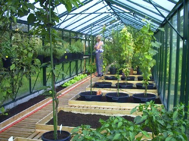 wisselbouw in een serre